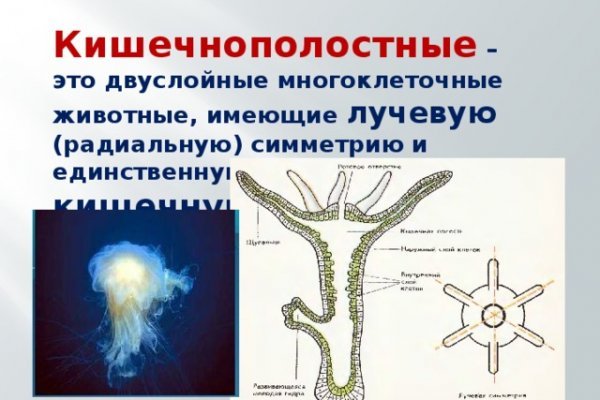 Рабочая ссылка на блэкспрут blacksprut adress com