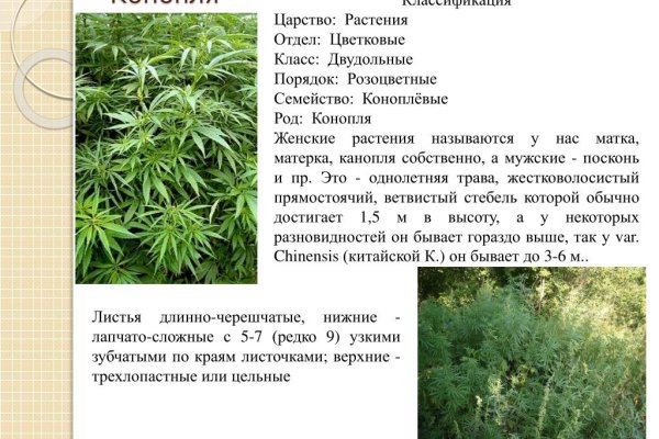 Клир ссылка на blacksprut bs2webes net