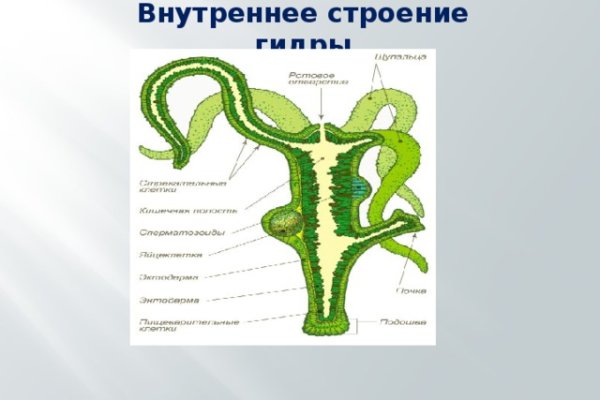 Блэкспрут 2webs