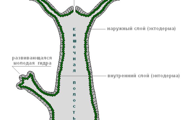 Ссылки на магазины в торе blackprut com